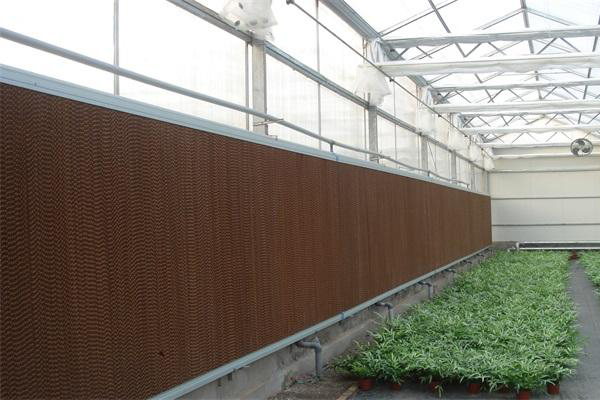 如何判斷濕簾是否需要更換？