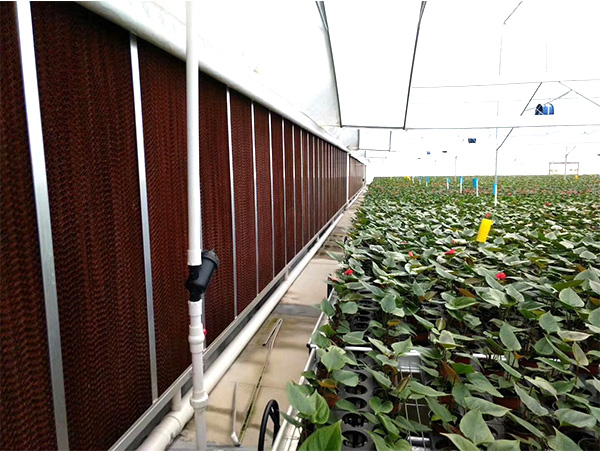 什么是水簾風機?